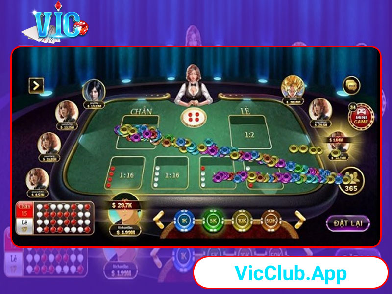 Hãy soi cầu trước khi xuống cược