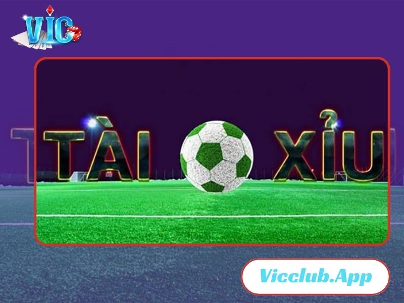 Tham khảo cách bắt cầu tài xỉu